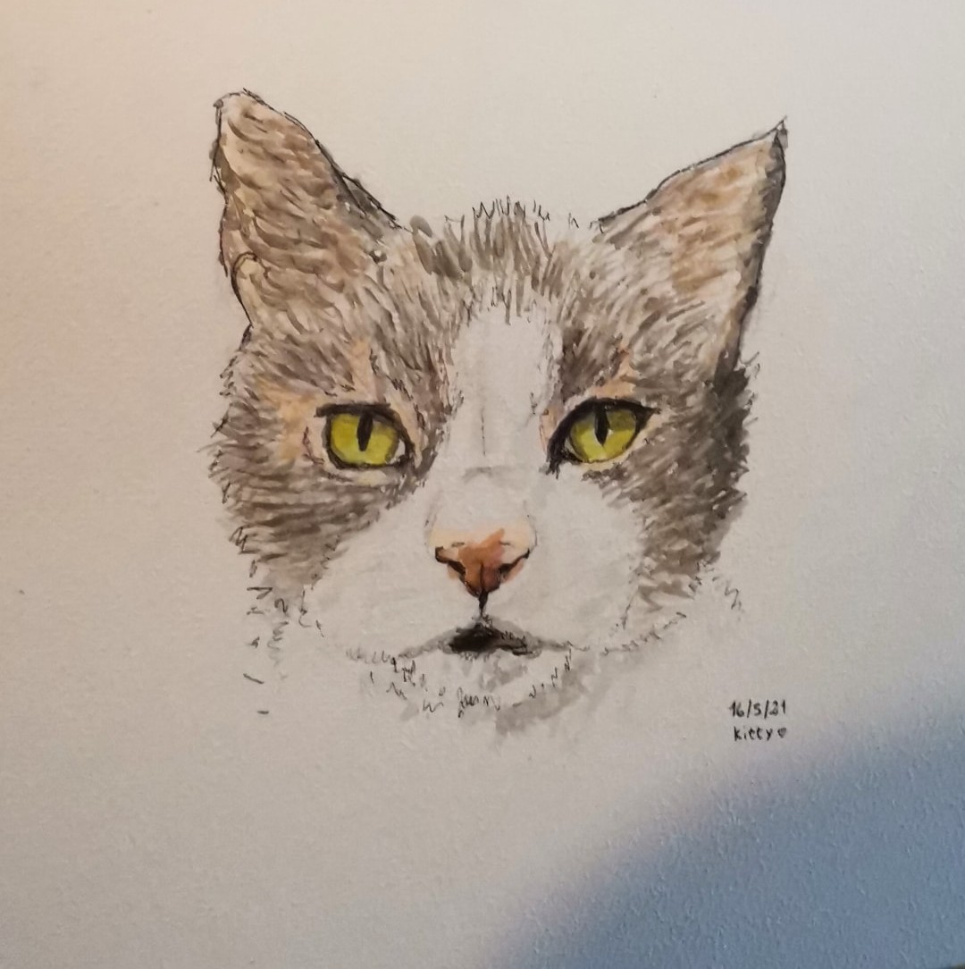 Dibujo